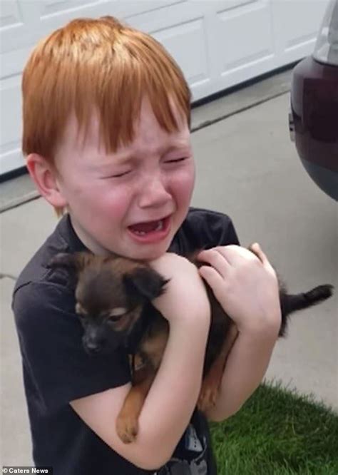 Boy Bursts Into Tears When His Family Surprise Him With A Puppy Puppies Boys Farm Heroes