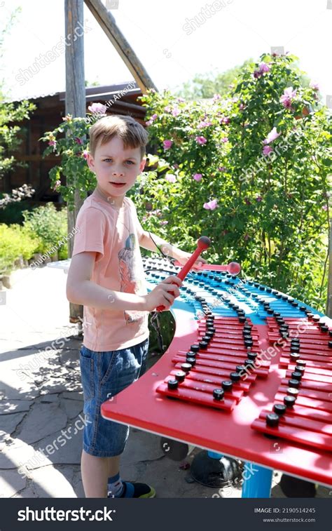 Boy Playing Xylophone Park Summer Stock Photo 2190514245 Shutterstock