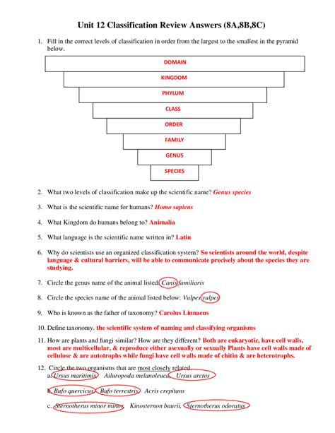 Classification And Taxonomy Worksheet Answers Exercises Animal