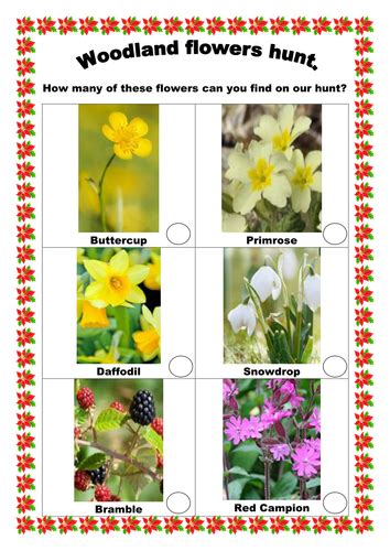 Ks1 Science Woodland Flower Hunt Activity Teaching Resources