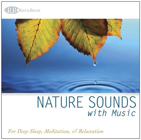 Sounds Of Nature 8 Cd Set Organic Nature Sounds Etsy