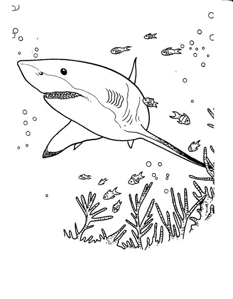 Shark Coloring Pages For Kids Sharks Kids Coloring Pages