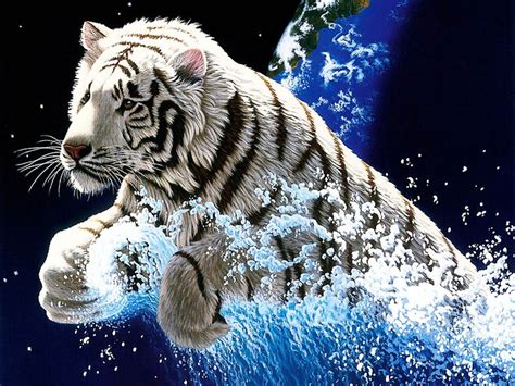 2048x1536 Resolution Albino Tiger With Water Splashing Underneath