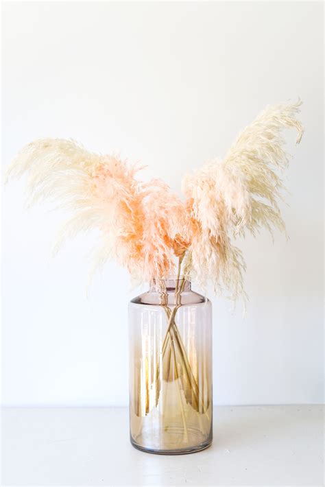 Create A Stunning Dried Pink Pampas Arrangement For Your Home Decor