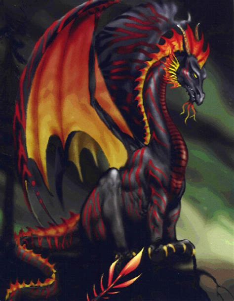 Evil Dragon Griffins And Dragons Photo 30401094 Fanpop