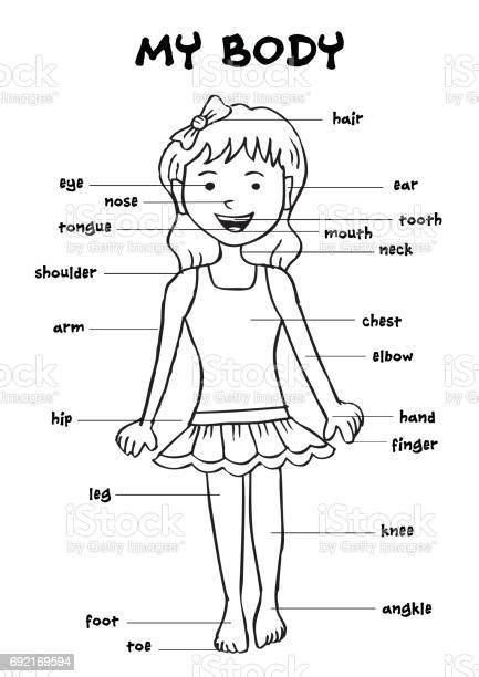 My Body Educational Info Graphic Chart For Kids Showing Parts Of Human