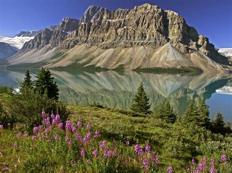 Banff National Park Canada Alive