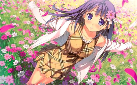 Anime Girl And Flowers Field Wallpapers 2560x1600 1619847