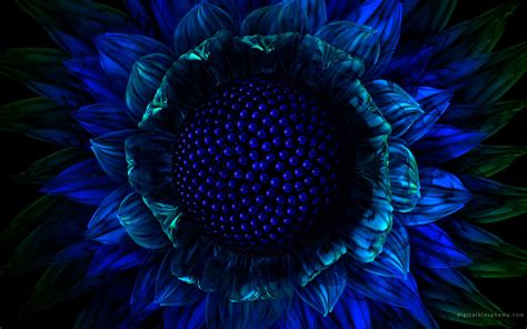 Pngtree offers hd dark blue background images for free download. Dark Blue Flowers Wallpaper #16151 Wallpaper | Cool ...