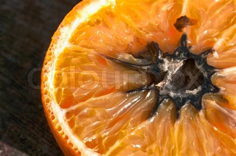 Rotten Orange With Mold Hdr Image Stock Image Colourbox