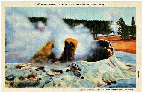 Yellowstone National Park Vintage Postcard Grotto Geyser In Etsy
