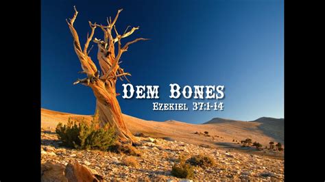 Dem Bones Ezekiel 371 14 Youtube