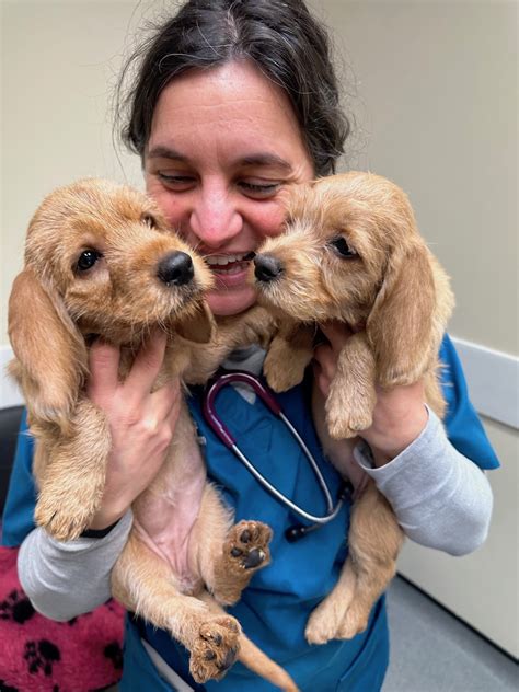 Happy days! - 387 Vets