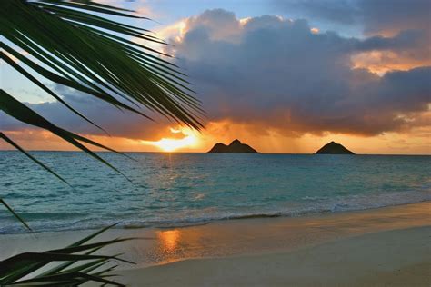 Hawaii Oahu Dramatic Sunrise At Lanikai Beach Mokulua Islands Palm Frond Pacificstock Canvas