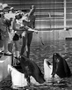 Hugo and Lolita at Miami Seaquarium, 1973 : r/imagesofthe1970s