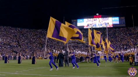 Lsu Tigers GIFs Find Share On GIPHY