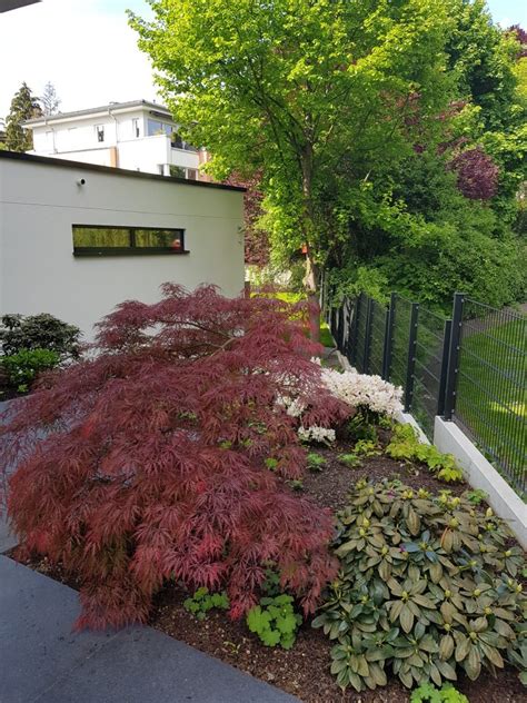 Auskunft für gartenbau in saarbrücken: Garten Saarbrücken - Frank Müller Garten- & Landschaftsbau