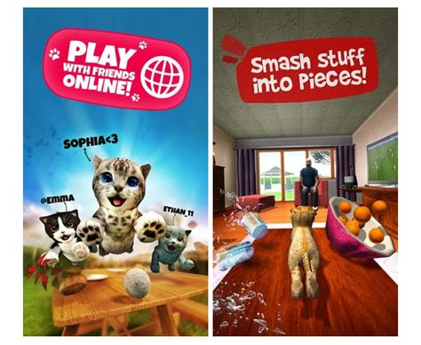 Cat Simulation Get Updated With The Addition Of Multiplayer Letting