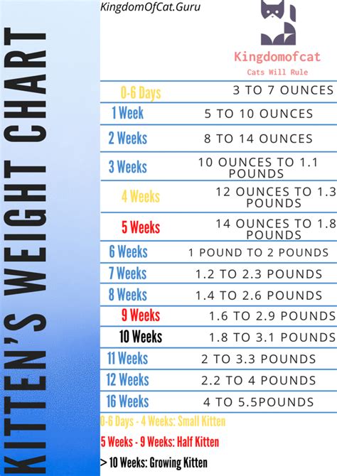 Find out what the ideal cat weight is & check your cat's current size with our body condition tool, designed to help you know if your pet is healthy. The Complete Guide Weighting For Cat - KingdomOfCats