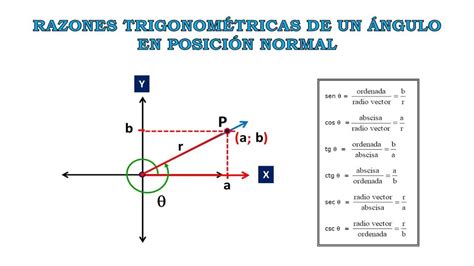 Razones Trigonometricas De Angulos En Posicion Normal Problema Resuelto