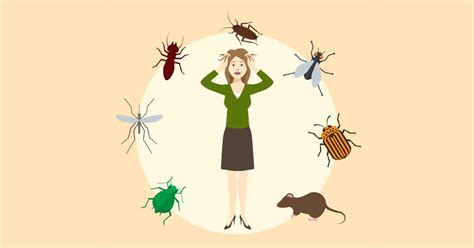 Fear Of Bugs Meaning Signs Causes Treatment And More