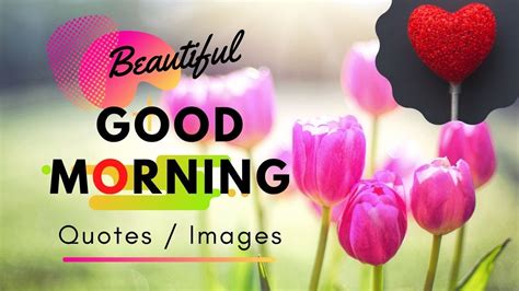 Julien deslandes — good morning 03:16. Good Morning Wishes for LOVE | Whatsapp good morning images HD - YouTube