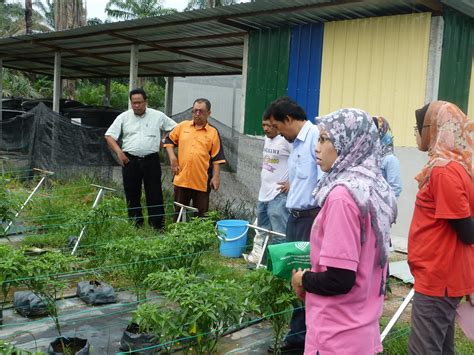 It is the youngest district in the state, having been declared a separate district in 2014. LAWATAN PEMANTAUAN PROJEK ~ PEJABAT PERTANIAN DAERAH KUALA ...