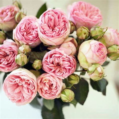 You Cant Go Wrong With A Big Bunch Of Bridal Piano Garden Roses
