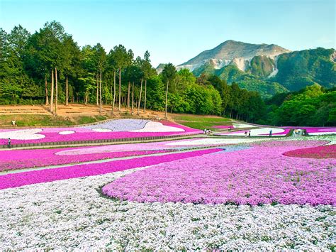 Most Beautiful Places In Japan Photos Cond Nast Traveler