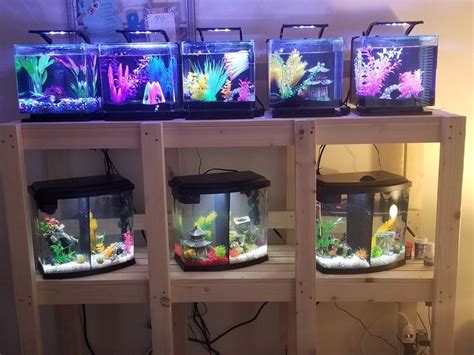Homemade Multiple Aquarium Stand In 2020 Fish Tank Stand Custom Fish