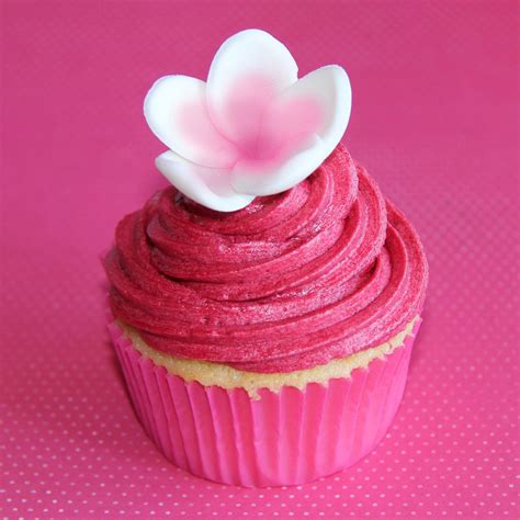 Cute Hot Pink Cupcakes Images And Pictures Becuo