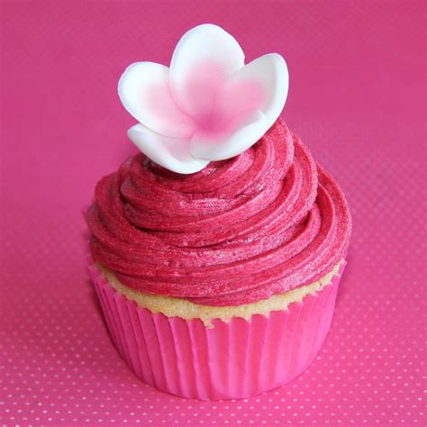 Not everything on hot pink is a knockout, but the experimentation results in some amazing standouts and other songs that are still fun or intriguing, even if they're not as memorable. Coco Jo Cake Design: Hot Pink Cupcakes