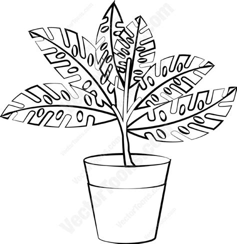 Plant Drawing Black And White At Getdrawings Free Download