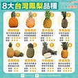 【台灣鳳梨品種】一圖認識8大種類、當造期 金鑽最多產/釋迦最甜