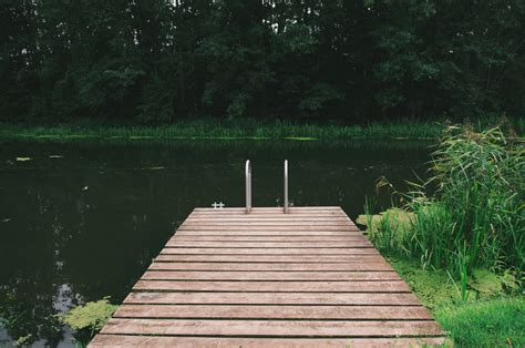 Free Images Landscape Water Nature Forest Grass Dock Lake