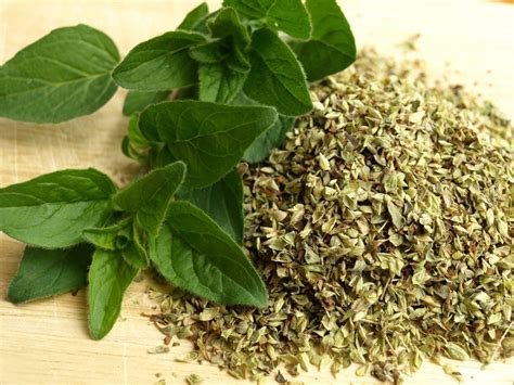 Discover The Healing Power Of Herbs And Spices Oregano Cumin And Bay Leaves