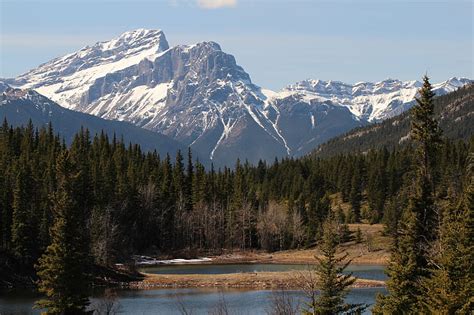 Hd Wallpaper Body Of Water Surrounded By Trees With Snow Cap Mountain