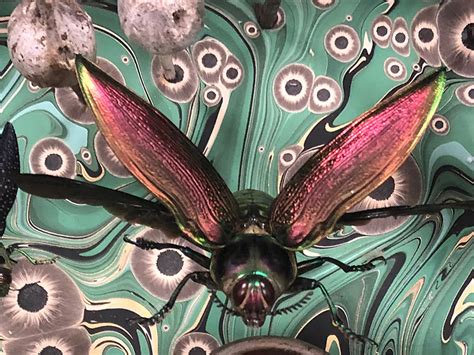 The Creepy Crawling History Of Insect Art Arts And Culture