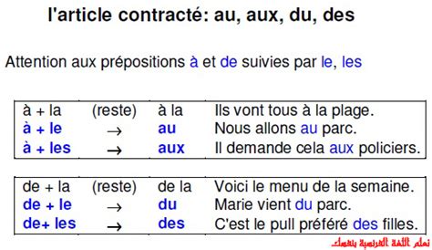 درس Les Articles Contractés في اللغة الفرنسية