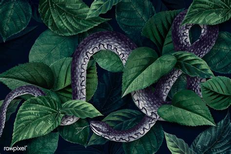 Snake On A Leafy Background Vector Premium Image By