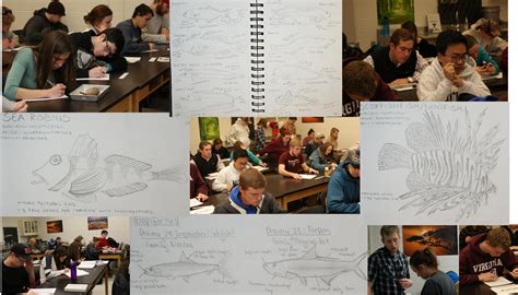 Virginia Tech Ichthyology Class How To Learn Ichthyology And Make It