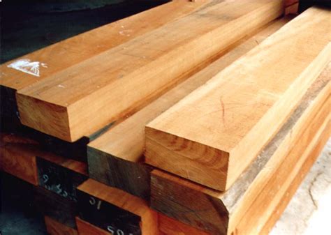 Kayu bengkirai termasuk kayu yang cukup awet dan kuat. Jenis Kayu Berkualitas Dengan Harga Murah | Download File ...