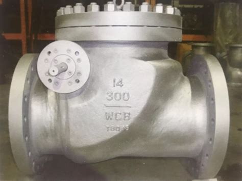 Wafer Check Valve With Lever And Counter Weight