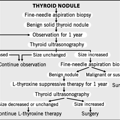 Decision Matrix For Workup Of A Thyroid Nodule 11 Download