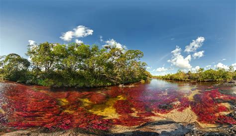 Lets Enjoy The Beauty Cano Cristales The River Of Five Colors The