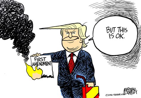 Political Cartoon Us Donald Trump Burning First Amendment The Week