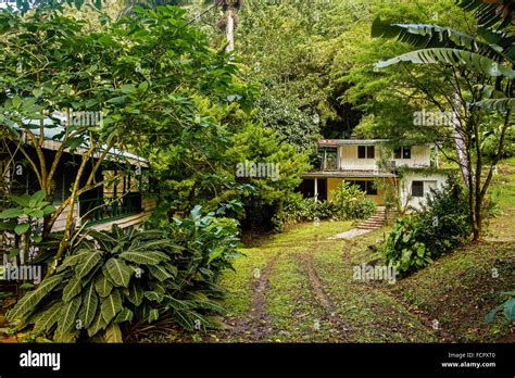 West Indies Plantation Hi Res Stock Photography And Images Alamy