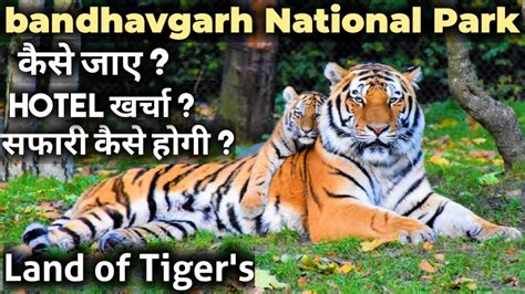 Bandhavgarh National Park Bandhavgarh Tiger Reserve How To Book