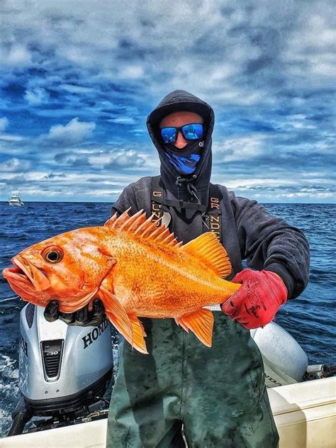 West Port Lingcod Fishing All Rivers And Saltwater Charters