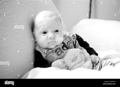 Adorable Baby Boy Stock Photo Alamy